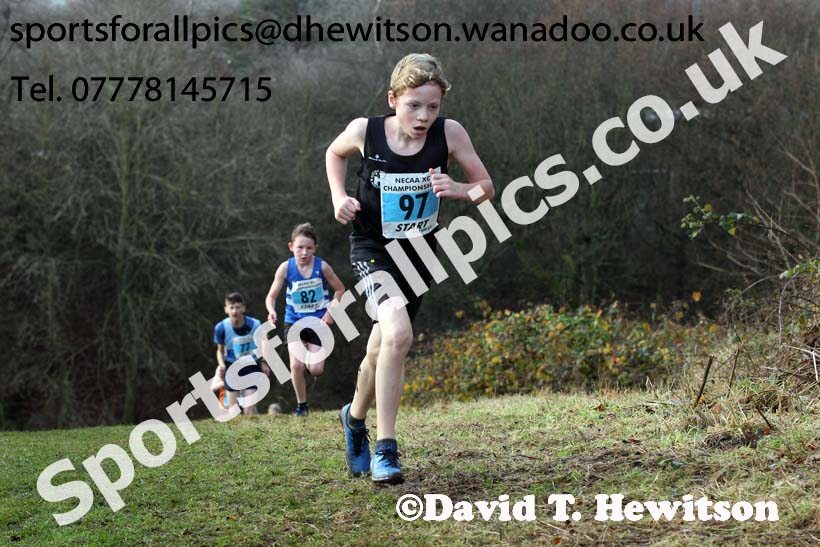 Boys under-13s North Eastern Cross Country, Aykley Heads, Durham. Photo: David T. Hewitson/Sports for All Pics
